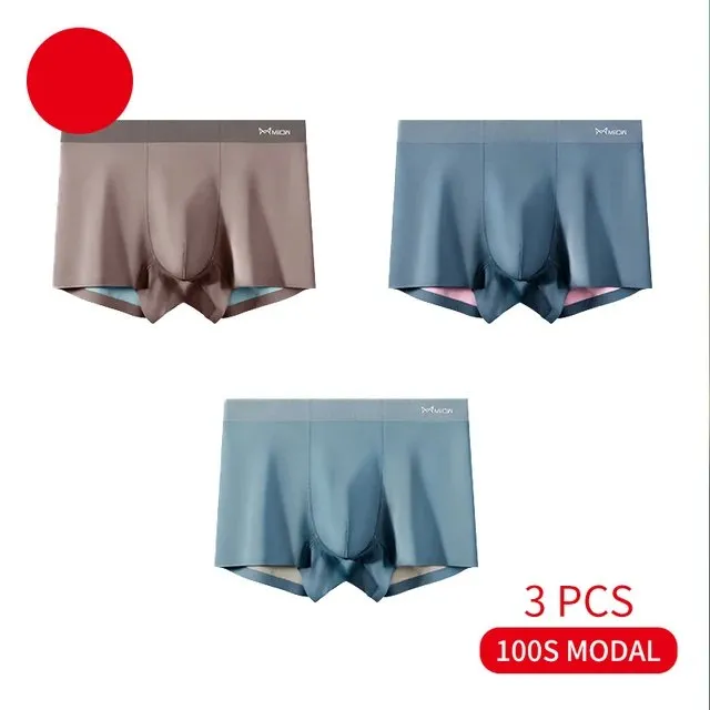 Antibacterial Seamless Modal 3Pcs Boxer Set