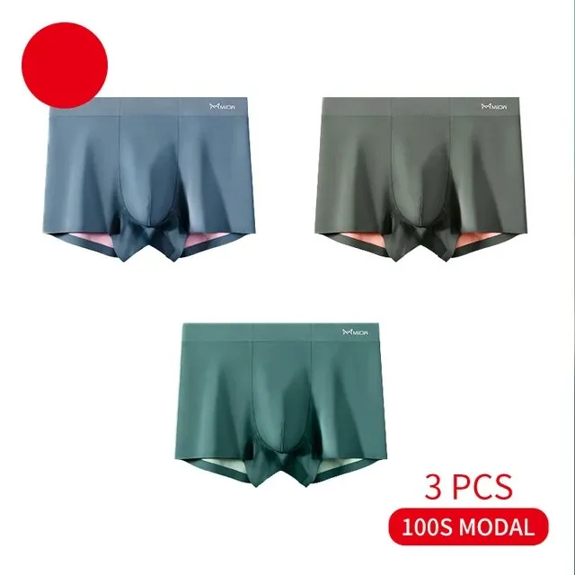 Antibacterial Seamless Modal 3Pcs Boxer Set