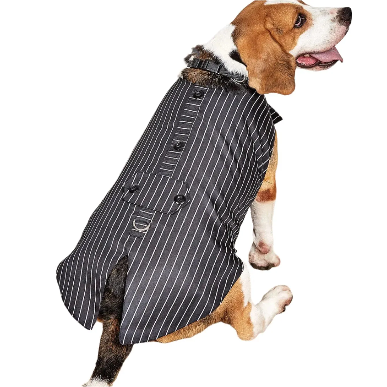 Dog Pet Clothing