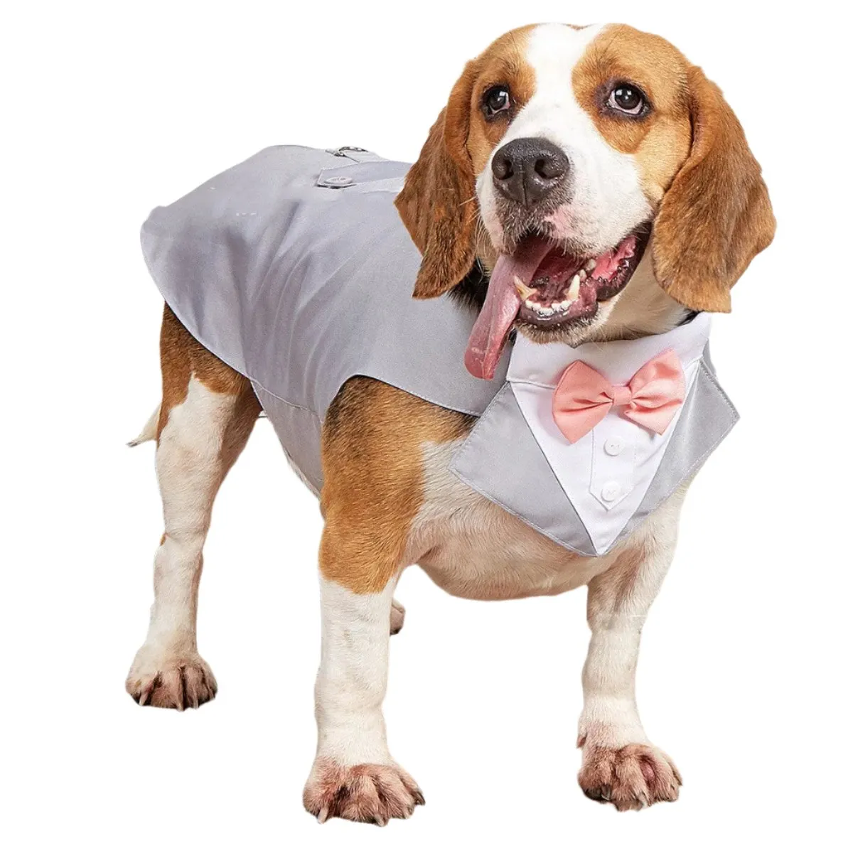 Dog Pet Clothing