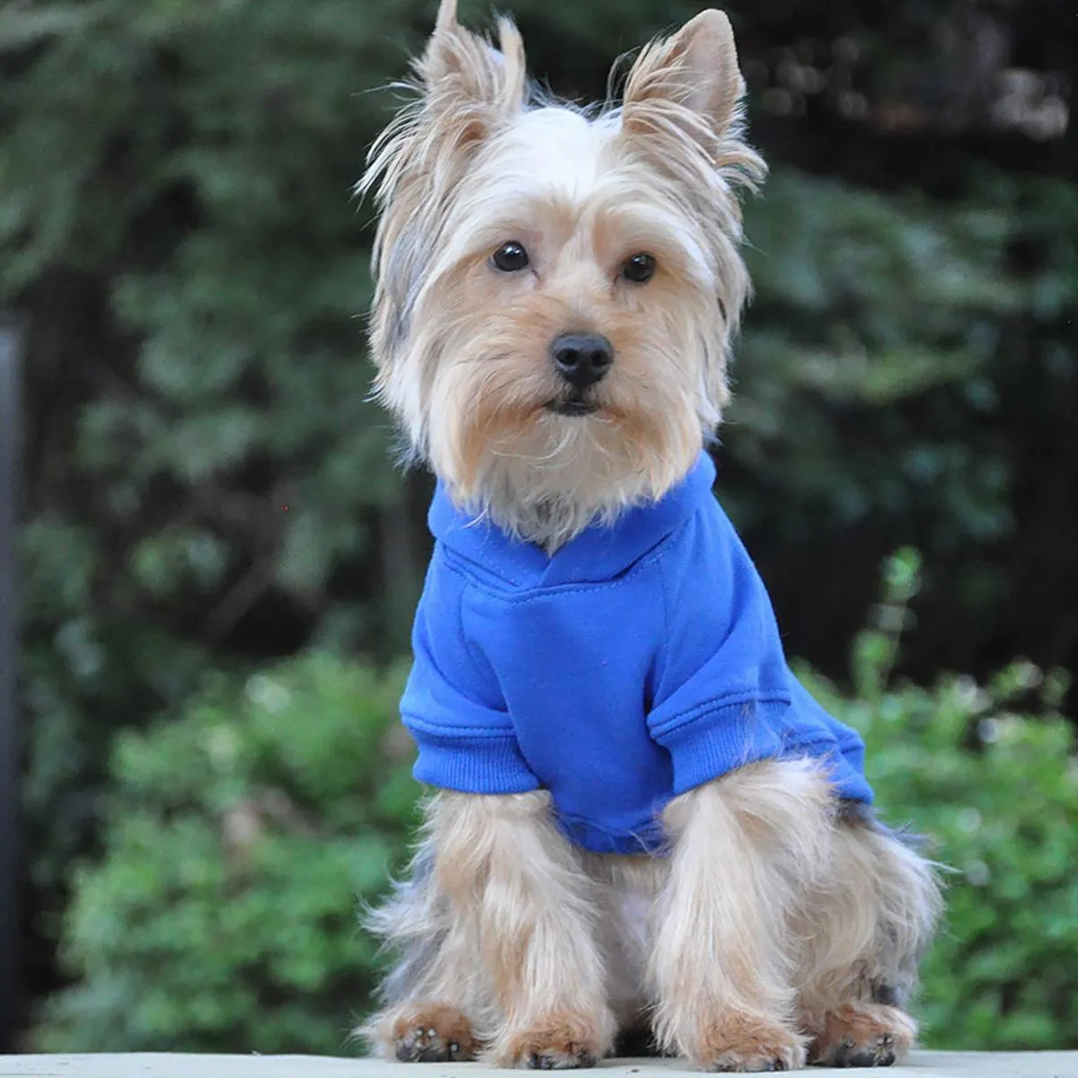 Flex-Fit Dog Hoodie Blue