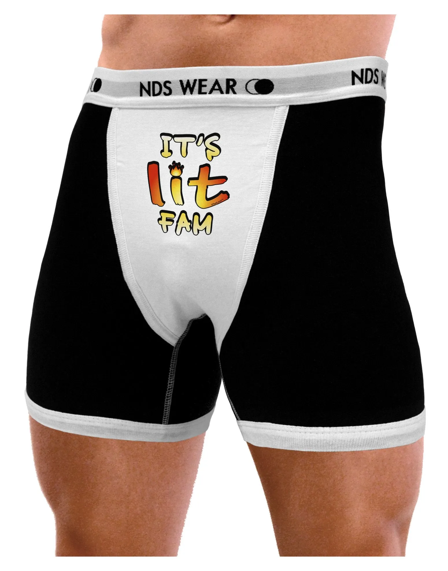 It's Lit Fam Mens Boxer Brief Underwear