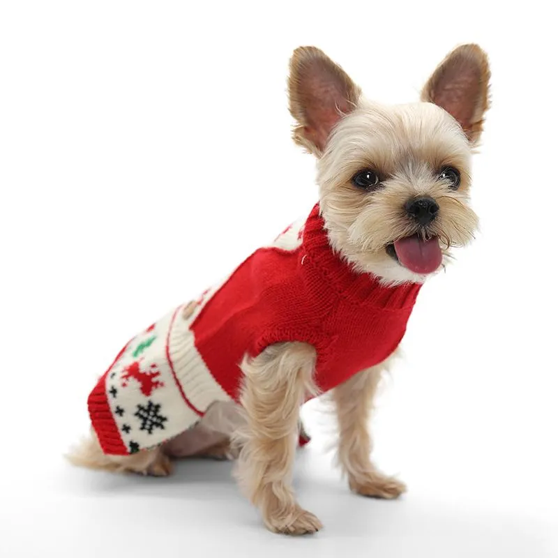 Jolly Dog Sweater Dress