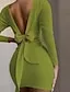 Women's Long Sleeve Backless Bow Mini Sweater Dress